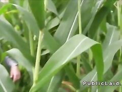 busty czech babe fucks in corn field for money